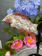 Load image into Gallery viewer, Mexican Crazy Lace Agate Dragon Wings Black Stand
