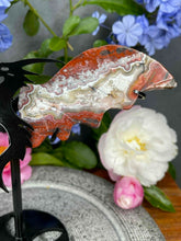 Load image into Gallery viewer, Mexican Crazy Lace Agate Dragon Wings Black Stand
