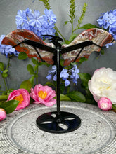 Load image into Gallery viewer, Mexican Crazy Lace Agate Dragon Wings Black Stand

