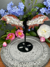 Load image into Gallery viewer, Mexican Crazy Lace Agate Dragon Wings Black Stand
