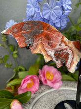 Load image into Gallery viewer, Stunning Mexican Crazy Lace Agate Dragon Wings Black Stand

