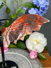 Load image into Gallery viewer, Stunning Mexican Crazy Lace Agate Dragon Wings Black Stand
