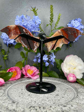Load image into Gallery viewer, Stunning Mexican Crazy Lace Agate Dragon Wings Black Stand
