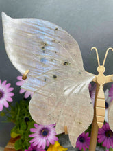 Load image into Gallery viewer, Moonstone Crystal Butterfly Wings Blue Flash Gold Stand
