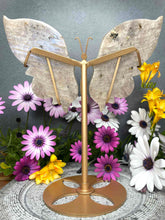 Load image into Gallery viewer, Moonstone Crystal Butterfly Wings Blue Flash Gold Stand
