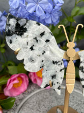 Load image into Gallery viewer, Moonstone with Black Tourmaline Crystal Butterfly Wings On Gold Stand
