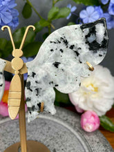 Load image into Gallery viewer, Moonstone with Black Tourmaline Crystal Butterfly Wings On Gold Stand
