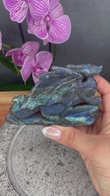 Load and play video in Gallery viewer, Discounted Damaged Labradorite Crystal Dragon Carving Blue Flash
