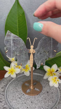 Load and play video in Gallery viewer, Stunning Labradorite Crystal Butterfly Wings Violet Flash
