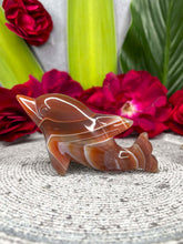 Load image into Gallery viewer, Stunning Red Agate Dolphin Crystal Carving
