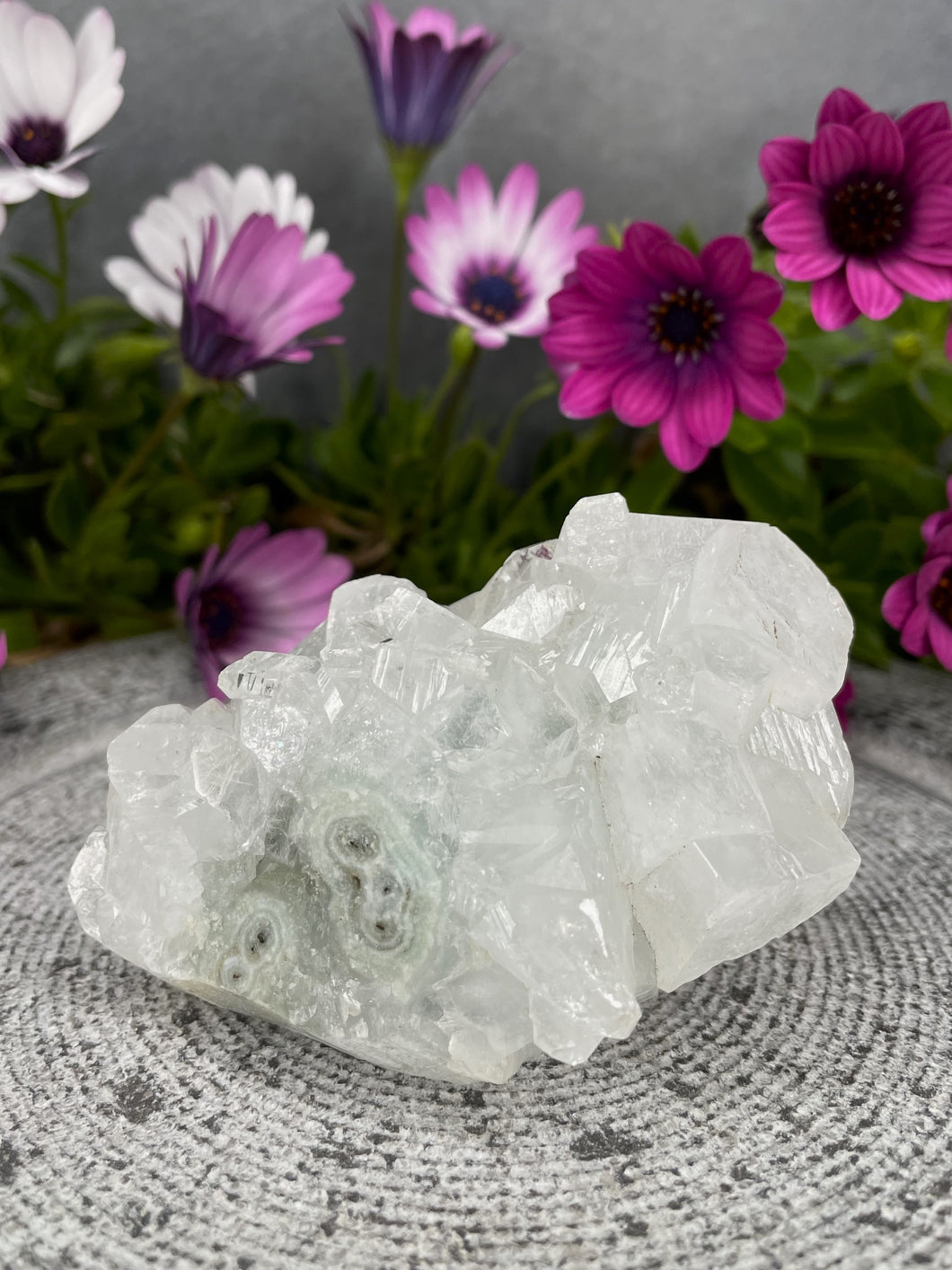 Beautiful Apophyllite Crystal Cluster