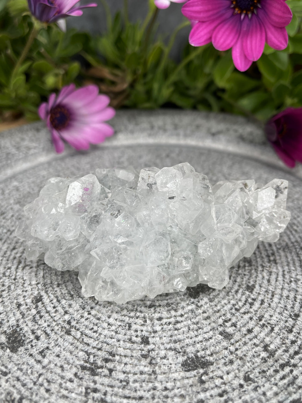 Breathtaking Apophyllite Crystal Cluster