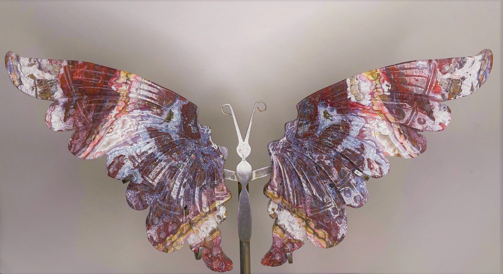 Crazy lace agate butterfly cheapest wings