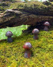 Load image into Gallery viewer, Ocean Jasper Mushrooms

