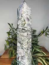 Load image into Gallery viewer, Stunning XXL Natural Moss Agate Crystal Druzy Geode Tower Column
