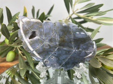 Load image into Gallery viewer, Blue Moss Agate Crystal Leaf Carving
