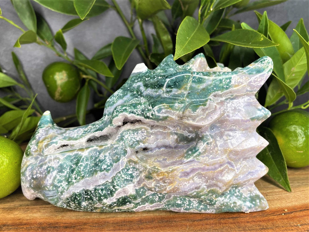 Stunning Moss Agate Crystal Dragon Head With Druzy